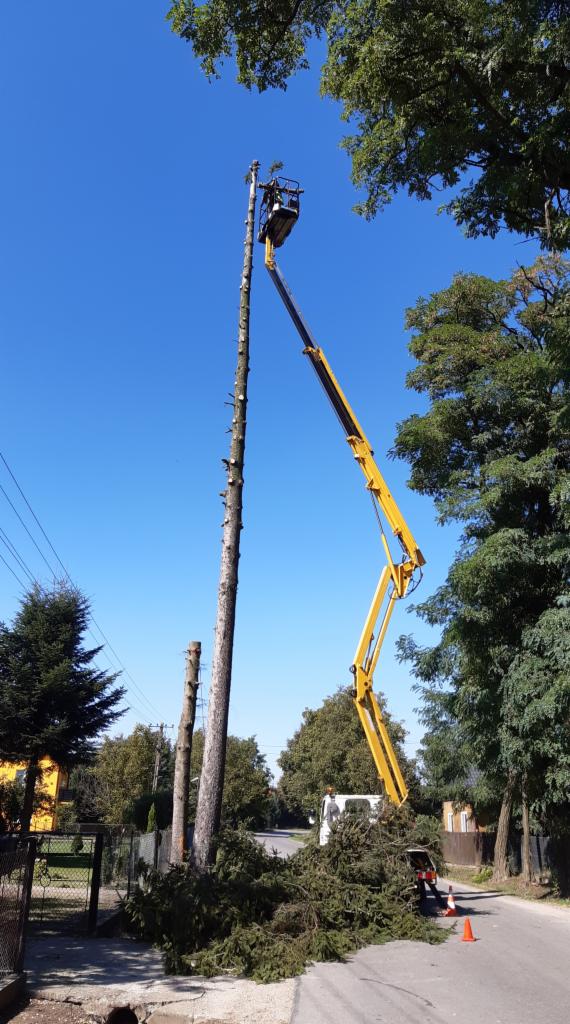 Pracownik na podnośniku koszowym przycina wysokie drzewo, zrębki leżą na ziemi, w tle budynek i drzewa.