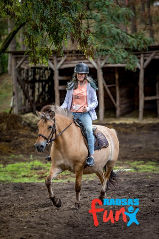 Dziewczyna w kasku jeździ na koniu rasy fiording na ujeżdżalni; w tle drewniana stajnia i drzewa.