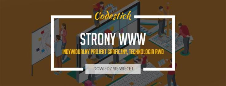 Codestick - Logotyp Kraków