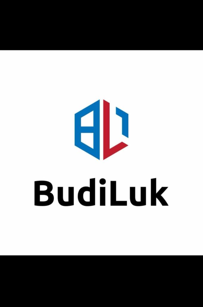 Logo firmy budowlanej BudiLuk z abstrakcyjnym symbolem w kolorach niebieskim i czerwonym.