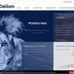 www.delion.pl