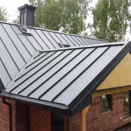 Dom z ciemnobrązdu z szarym dachem blaszanym z oknami dachowymi i czarnym kominem, otoczony drzewami.