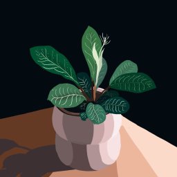 Malarstwo artystyczne Biłgoraj 3