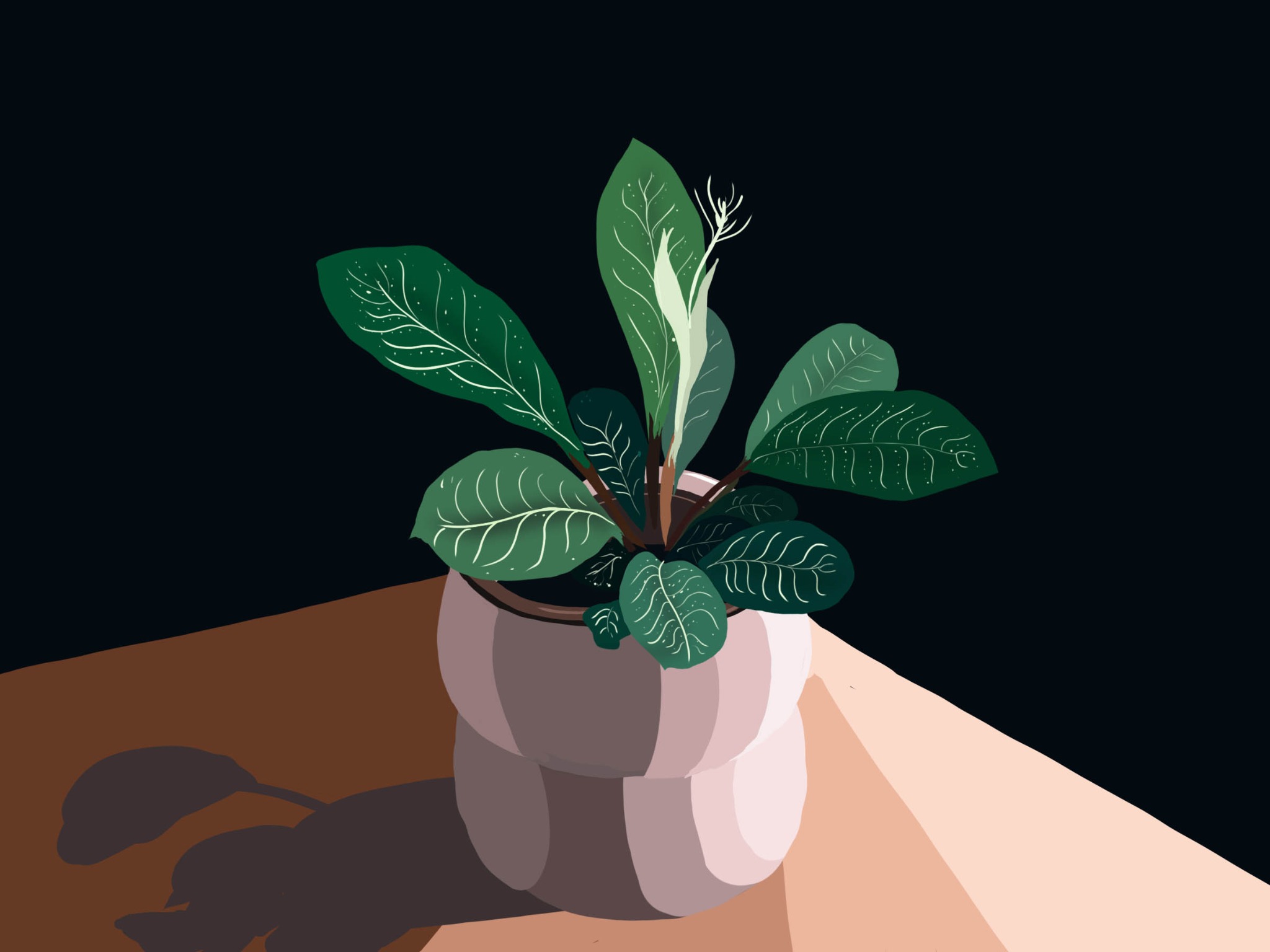 Ilustracja rośliny doniczkowej z dużymi zielonymi liśćmi z białymi żyłkami w ceramicznej doniczce na stole, rzucająca cień na ciemnym tle.
