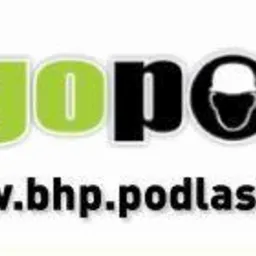 Logo firmy Ergopolis z zielonym napisem i sylwetką kasku ochronnego, adres strony internetowej bhp.podlasie.pl