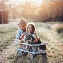 Kolaż z sesji rodzinnej w plenerze: rodzina siedząca na łące, dzieci z psem w wózku, portrety dziewczynki w wianku na głowie, rodzeństwo siedzące na kocu.
