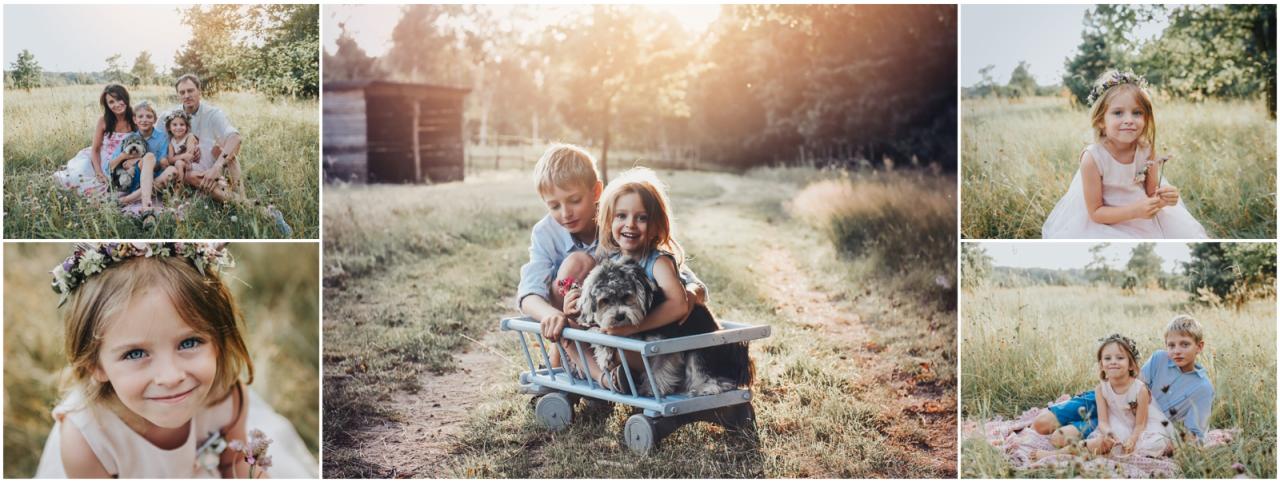 Kolaż z sesji rodzinnej w plenerze: rodzina siedząca na łące, dzieci z psem w wózku, portrety dziewczynki w wianku na głowie, rodzeństwo siedzące na kocu.