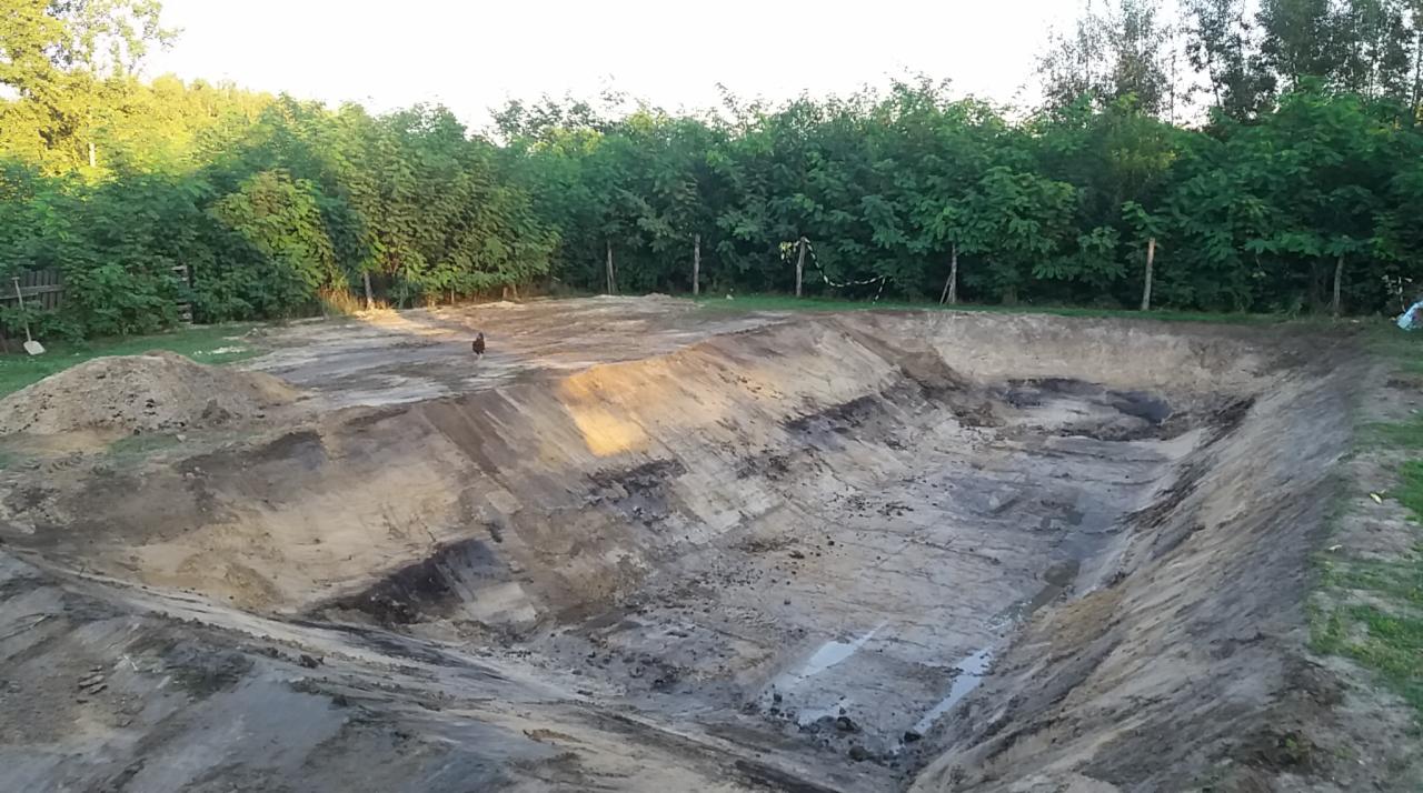 Wykonany wykop pod przyszły staw, widoczne ukształtowanie terenu, nasypy ziemi i niewielka ilość wody na dnie wykopu, a w tle zielone drzewa.