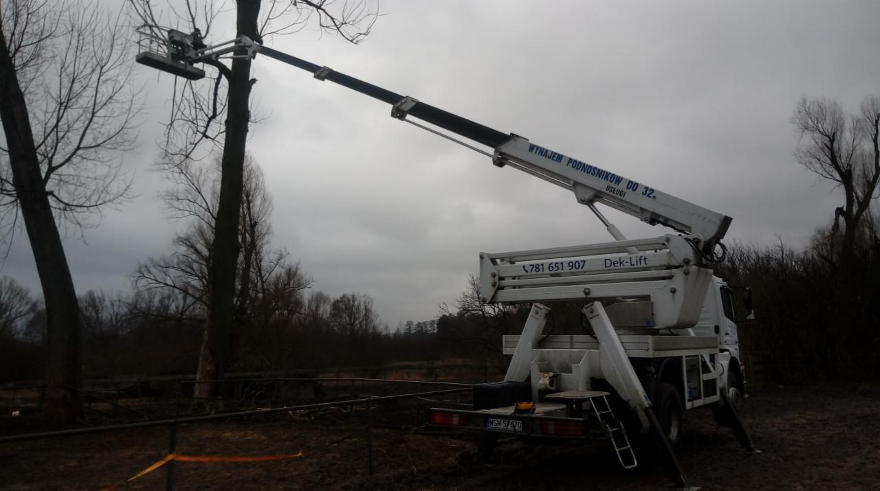 Biały podnośnik koszowy marki Dek-Lift z wysięgnikiem sięgającym korony drzewa, na tle pochmurnego nieba i błotnistego terenu.