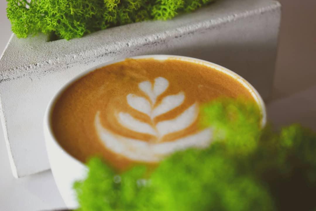 Kawa latte z wzorem liścia w białej filiżance, obok betonowej doniczki z mchem.