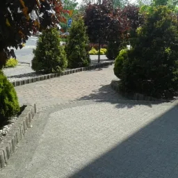 Ułożona szara kostka brukowa na ścieżce w ogrodzie, obrzeża z betonowych elementów, dekoracyjne krzewy i drzewa w tle.