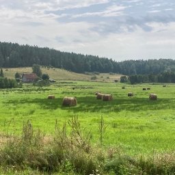 Działki rolne- Mazury 