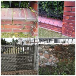 Kostka Błysk - Kolaż czterech różnych fragmentów ogrodzeń: ceglanego z mchem, ceglanego z metalowym płotem, betonowego z dekoracyjnymi elementami, oraz kamiennego z mchem.