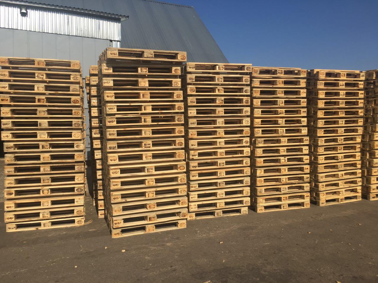 Ułożone w stosy drewniane palety EUR z widocznymi oznaczeniami, na tle magazynu i błękitnego nieba.