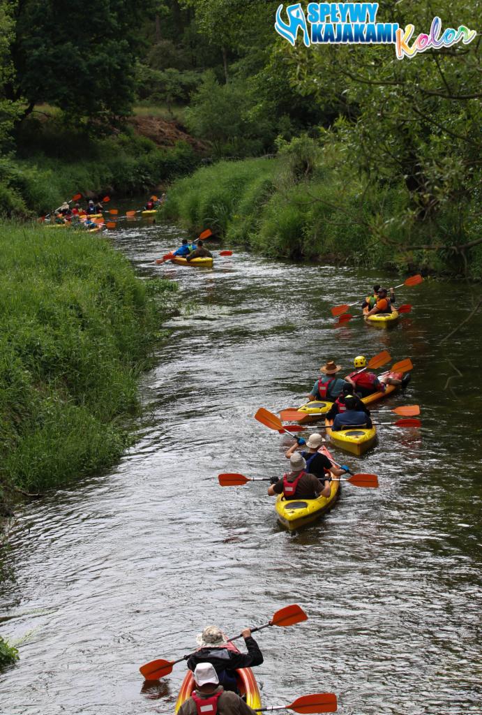 Grupa kajakarzy płynie wąską rzeką otoczoną zielenią, widok z góry, w tle logo organizatora spływu.