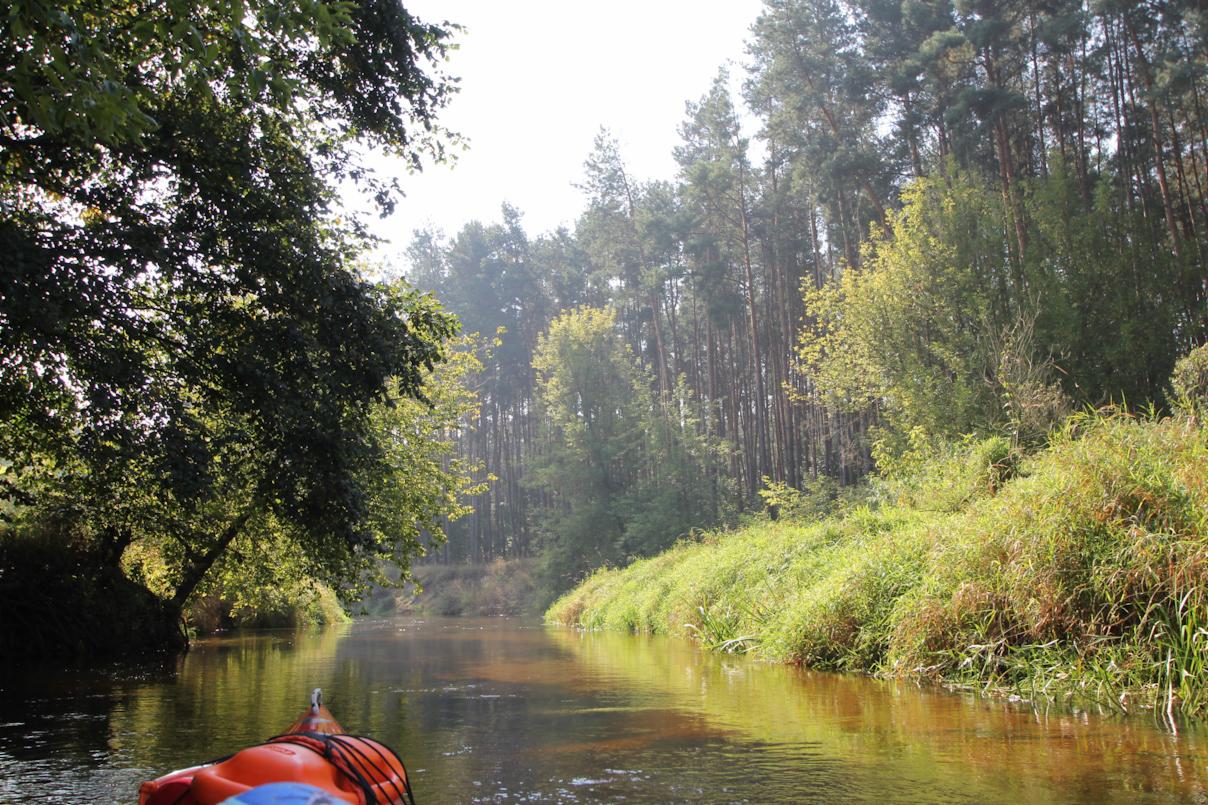 Spokojny spływ kajakiem po rzece otoczonej bujną zielenią, widok z perspektywy kajakarza w słoneczny dzień.