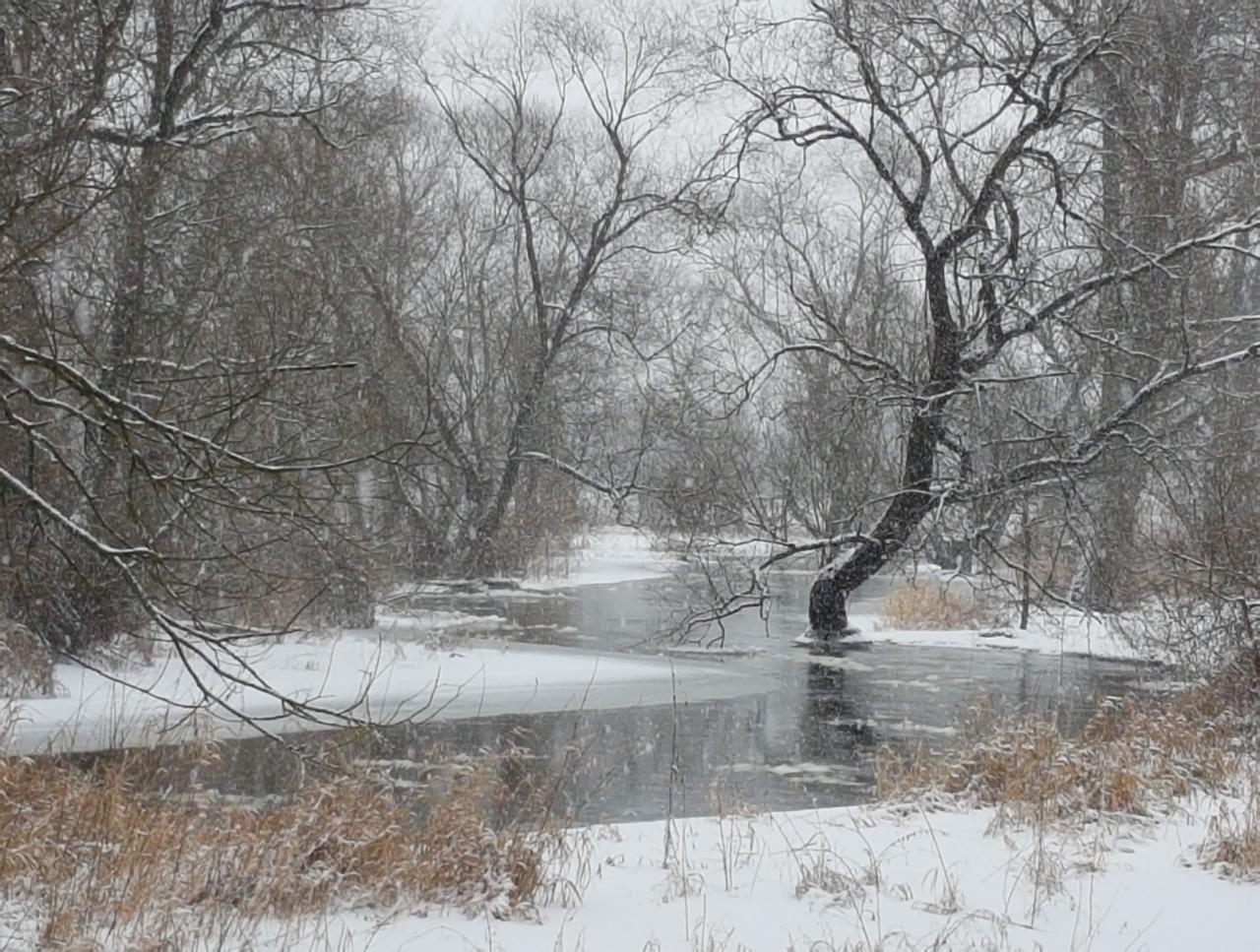 Zimowy krajobraz: zasypana śniegiem rzeka z częściowo zamarzniętą powierzchnią, otoczona nagimi drzewami i krzewami, podczas intensywnych opadów śniegu.