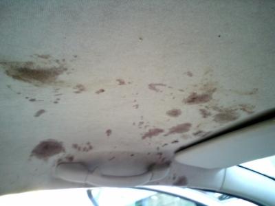 Bardzo zabrudzona podsufitka samochodu osobowego z widocznymi plamami różnego pochodzenia. Widoczny uchwyt dla pasażera i fragment osłony przeciwsłonecznej.