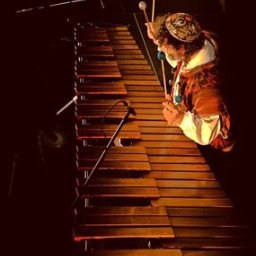 Dream come true s.r.o. - Artysta grający na marimbie podczas występu na scenie, w tle widoczny mikrofon i ciemne otoczenie, oświetlenie sceniczne podkreśla instrument.