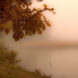 Dream come true s.r.o. - Jesienny krajobraz: mglisty brzeg jeziora z drzewem dębu w pomarańczowych barwach i małym domkiem w tle.