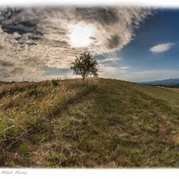 Pejzaż z samotnym drzewem na szczycie wzgórza, zdominowany przez dynamiczne chmury i jasne słońce, z polami w tle.