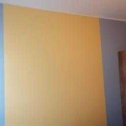 Usługi Remontowe - Ściana pomalowana na trzy kolory: błękitny, żółty i szary, z widocznym regałem z książkami w tle.