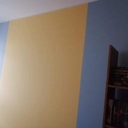 Usługi Remontowe - Ściana pomalowana na dwa kolory: żółty i niebieski, z widocznym regałem z książkami w tle.