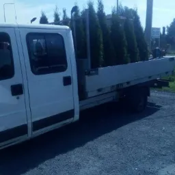 Transport drzewek,krzewów. Nasadzanie.