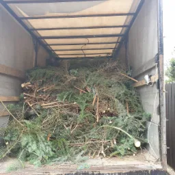 Przyczepa ciężar&oacute;wki wypełniona gałęziami i ściętymi fragmentami drzew iglastych po wycince.