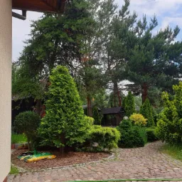 Uporządkowany ogród z różnorodnymi krzewami iglastymi i ścieżką z kostki brukowej, widoczne worki z nawozem przy ścianie budynku.