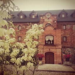 Terapia uzależnień Dobrzyń nad wisłą 2