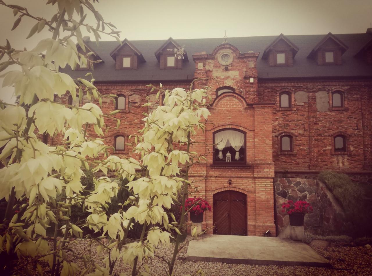 Budynek z czerwonej cegły z poddaszem, widoczny przez kwitnącą jukę ogrodową, przed wejściem donice z czerwonymi kwiatami.