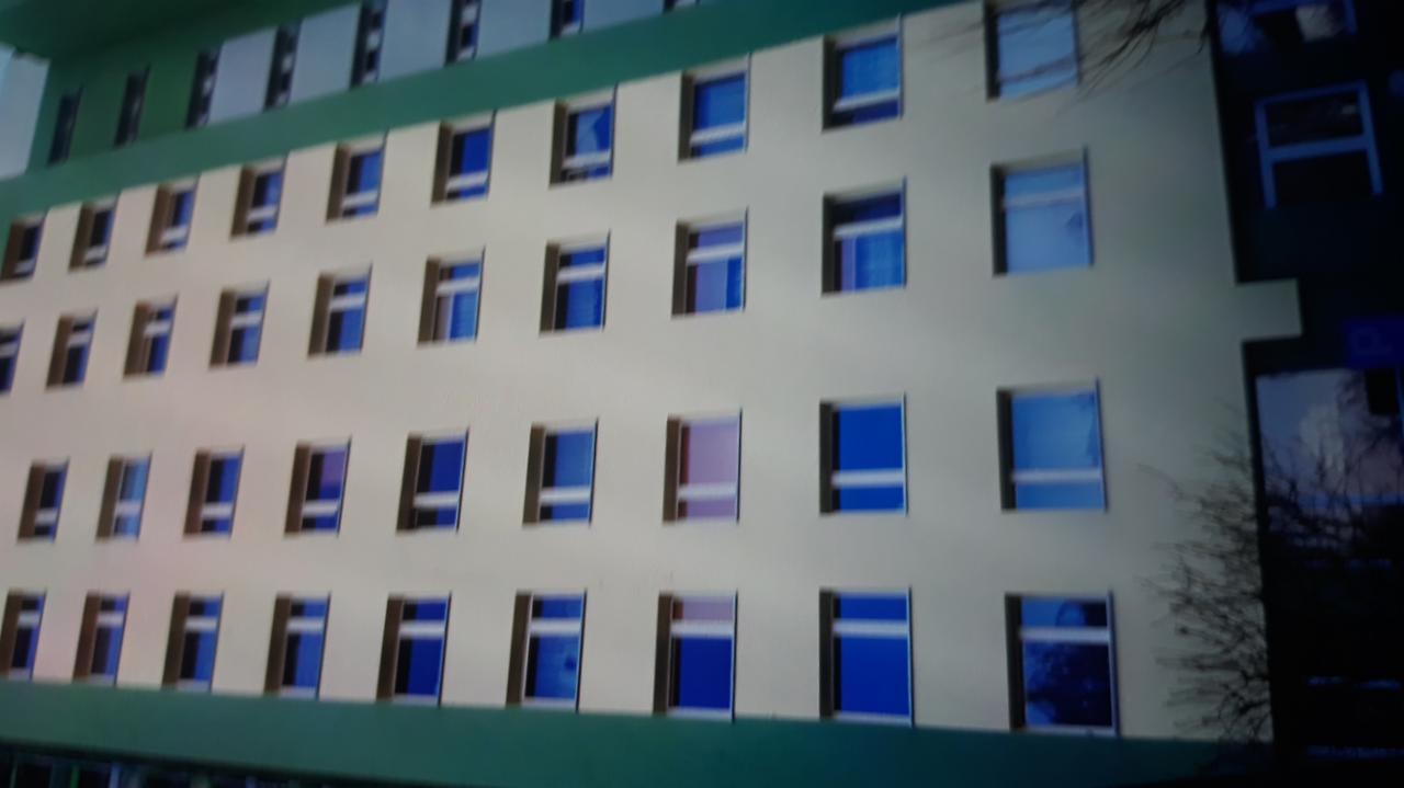 Wielopiętrowy budynek z elewacją w odcieniach beżu i zieleni, liczne okna z niebieskimi szybami odbijającymi światło, widoczne gałęzie drzewa po prawej stronie.