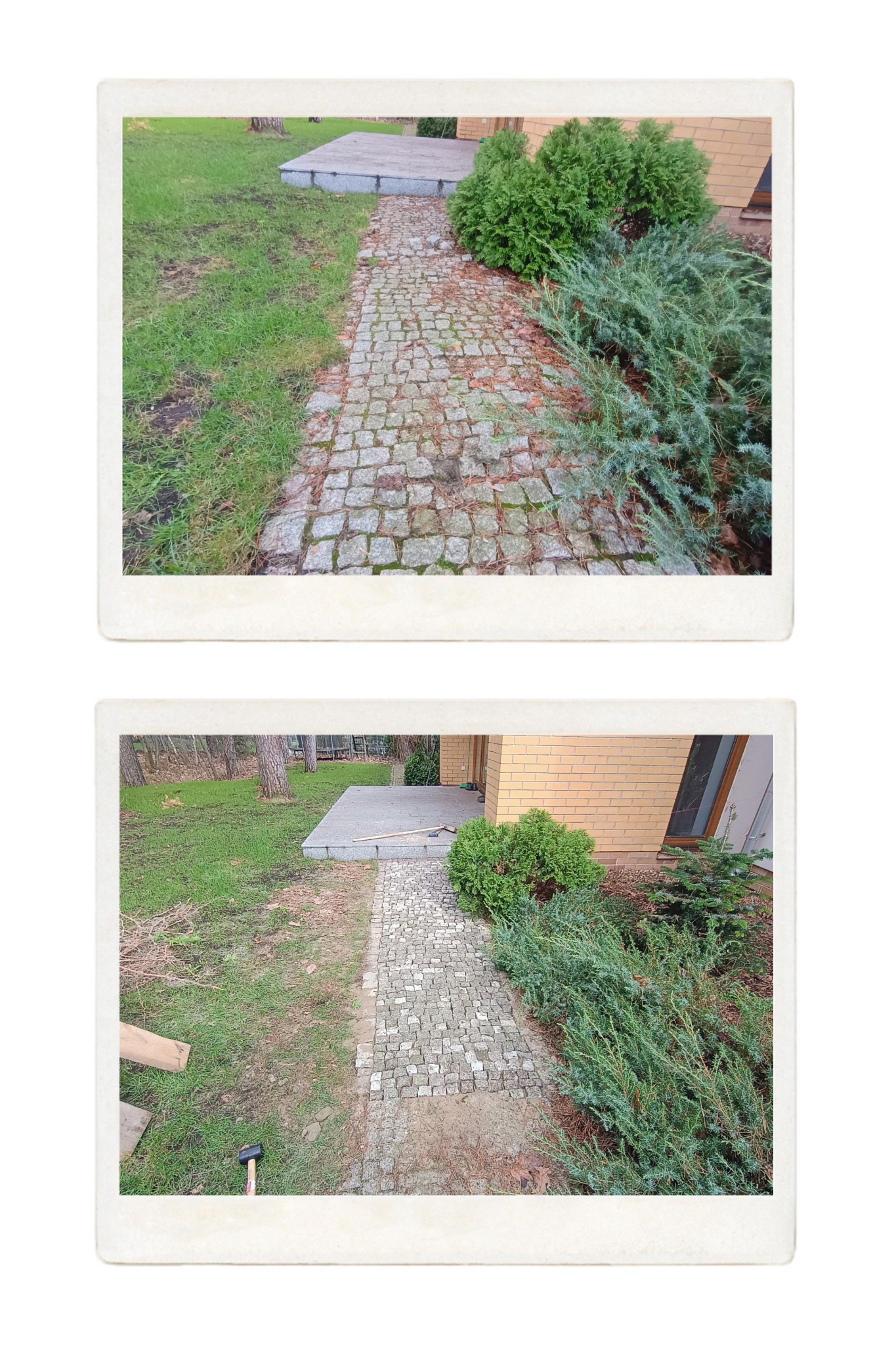 Porównanie stanu nawierzchni z kostki: 'przed' - zarośnięta i zabrudzona, 'po' - czysta i odnowiona. Widoczne rośliny i fragment budynku.