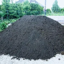 Kopiec ciemnej ziemi na jasnym podłożu, widoczny fragment trawnika, ogrodzenie i dom w tle.