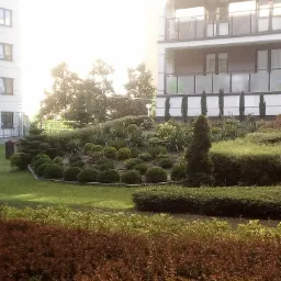 Uformowany ogród w stylu angielskim przed nowoczesnym budynkiem mieszkalnym z balkonami, z widocznymi kulistymi krzewami i strzyżonymi drzewami iglastymi.