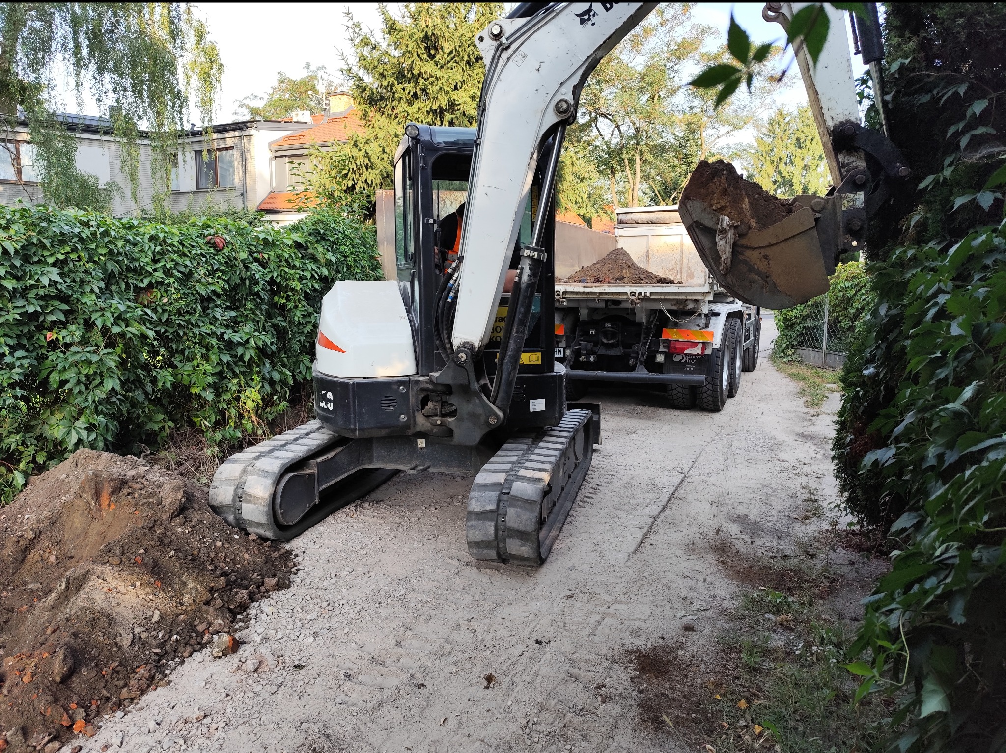 Biało-czarna minikoparka na gąsienicach załadowuje ziemię do wywrotki na tle zielonego żywopłotu i budynków mieszkalnych.