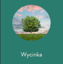 Grafika z drzewem na tle nieba w okręgu, pod spodem napis 'Wycinka'.