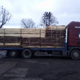 Ciężarówka Scania z niebieską platformą załadowana drewnem, zabezpieczonym pasami, na tle pochmurnego nieba i drzew bez liści.