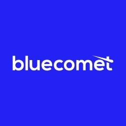Bluecomet Studio - Projektowanie logo Łódź