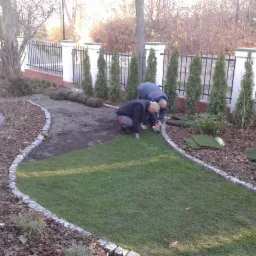 Dwaj mężczyźni w trakcie układania trawy z rolki na przygotowanym podłożu w ogrodzie, widoczne rolki trawy, obrzeże z kostki granitowej i tuje wzdłuż ogrodzenia.