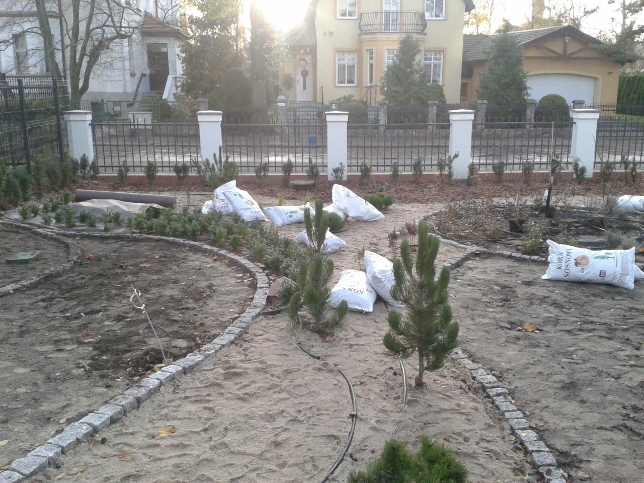 Etap budowy ogrodu: wytyczone ścieżki z kamiennej kostki, przygotowane podłoże, worki z korą sosnową, sadzonki drzew iglastych i krzewów ozdobnych, widok na domy w tle.