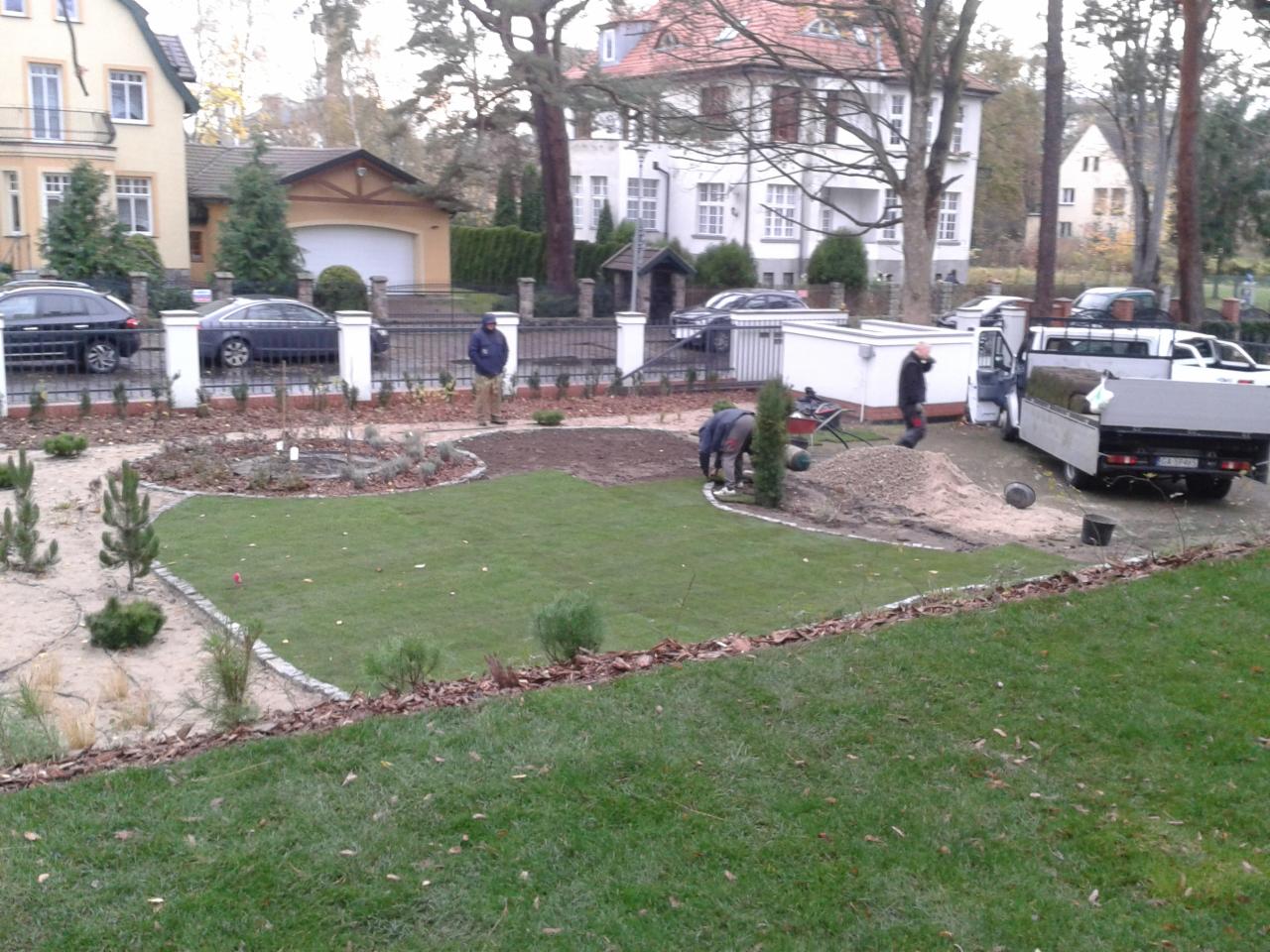 Układanie trawy z rolki w ogrodzie, widoczny fragment trawnika, pracownicy, ciężarówka z rolkami trawy i przygotowane podłoże pod nasadzenia, w tle zabudowa jednorodzinna.