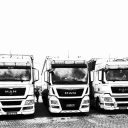 IDS Trans Iwona Staszewska