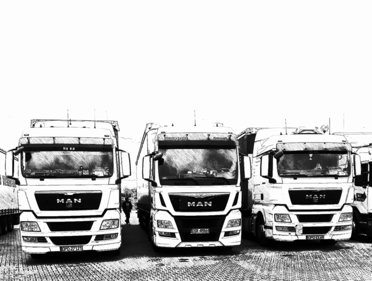 Trzy białe ciężarówki MAN stojące w rzędzie na placu z kostki, widok z przodu, w tle widoczna sylwetka człowieka.