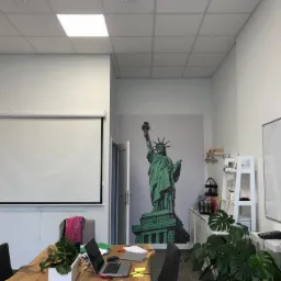 Biuro z fototapetą przedstawiającą Statuę Wolności, drewniany stół z laptopem i roślinami doniczkowymi, białe ściany i sufit kasetonowy.