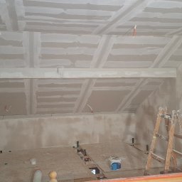 Płyta karton gips Żarnówka 1