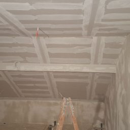 Płyta karton gips Żarnówka 2