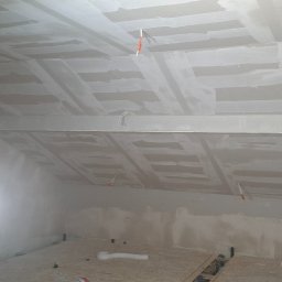 Płyta karton gips Żarnówka 3