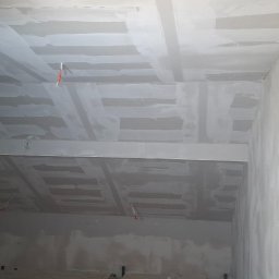 Płyta karton gips Żarnówka 4